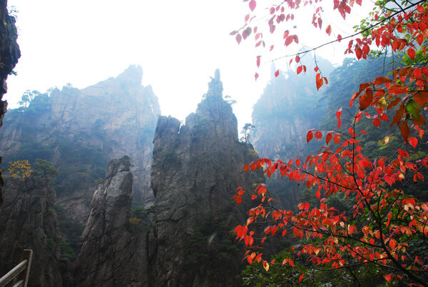 黄山秋色图片