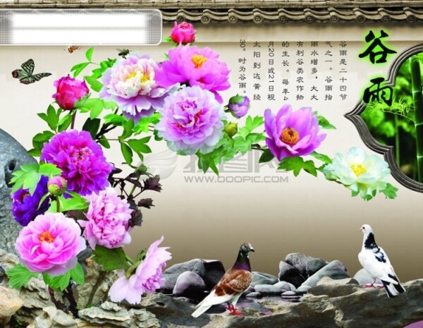 谷雨花鸟桌面背景图片
