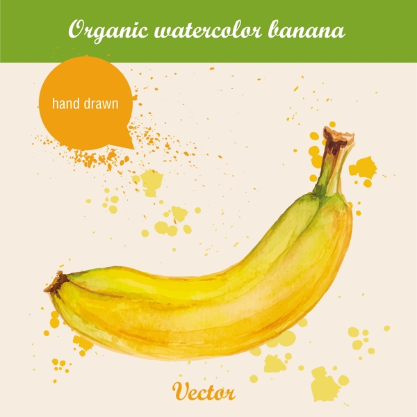 手绘水彩香蕉水果