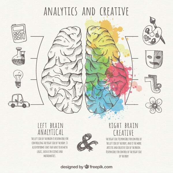 分析和创造性的部分大脑的信息图表