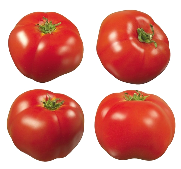 四个番茄
