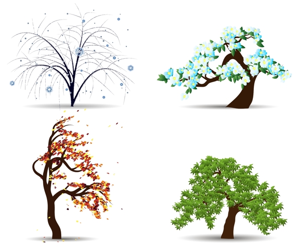 不同季节的树木变化