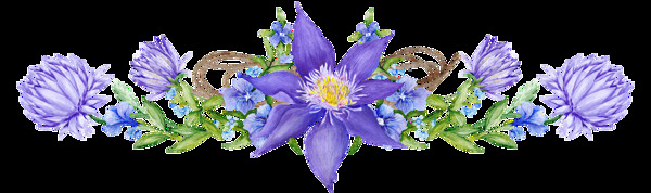 迷人紫色花卉透明装饰素材
