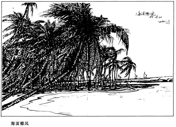 钢笔风景画海滨椰风图片