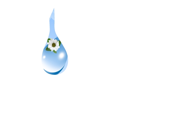 晶莹水滴和白色小花