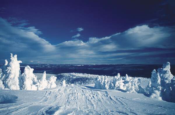 雪景风景图片