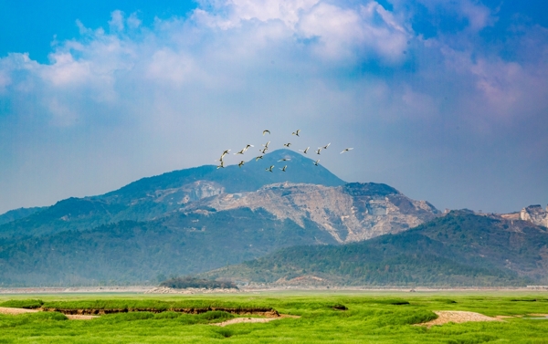 鄱阳湖草地