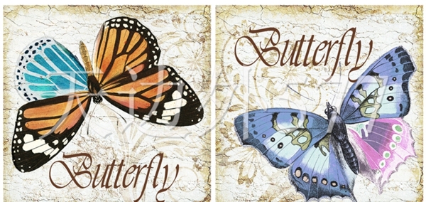 蝴蝶1图片
