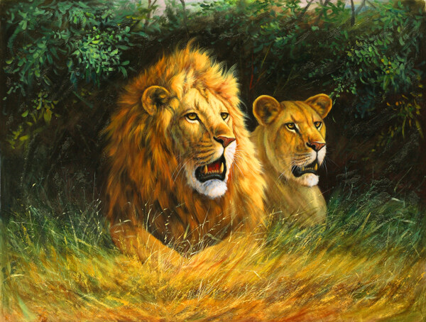 草地上的狮子和豹
