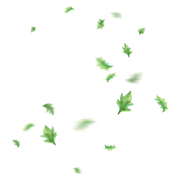漂浮的绿色叶子飘落的菊花叶子漂浮的绿叶