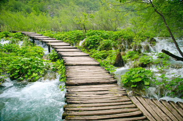 树林小溪木桥风景图片