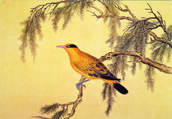 花鸟画中国古画传统国画13