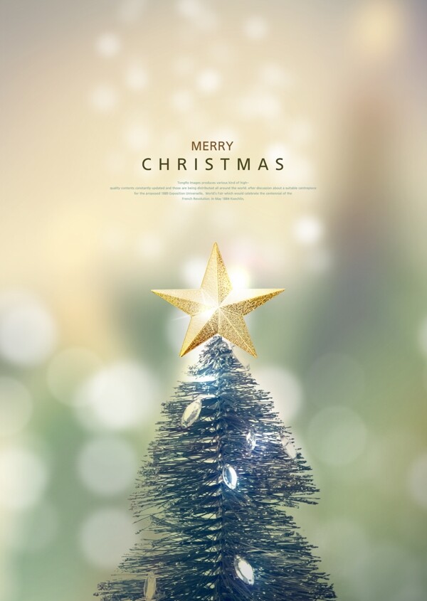 简单的圣诞树2018年圣诞节海报