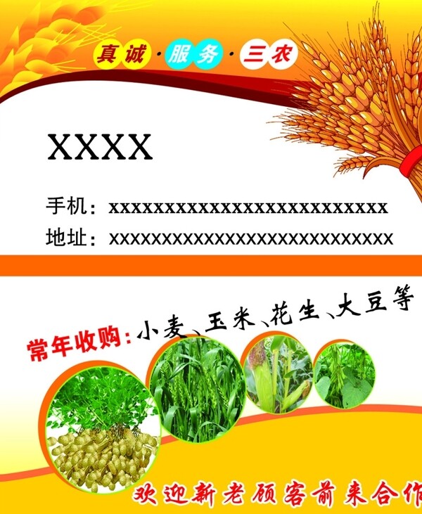 收购粮食名片