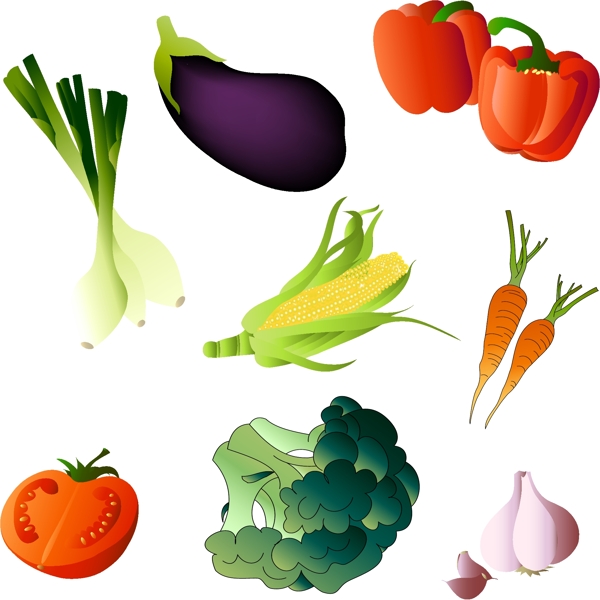 多种色泽亮丽的蔬菜矢量