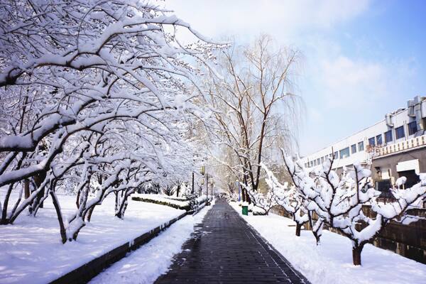 雪色元大都图片