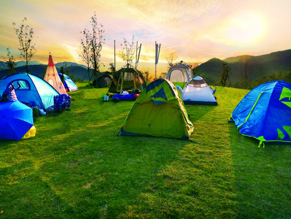 帐篷草坪露营自然风景