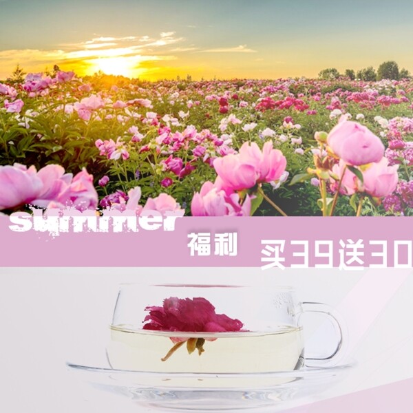 玫瑰花茶800800推广图