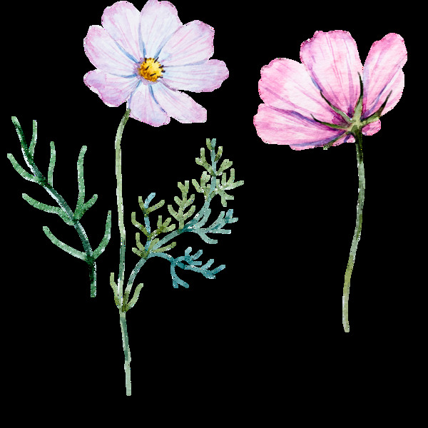 粉色花卉卡通透明素材