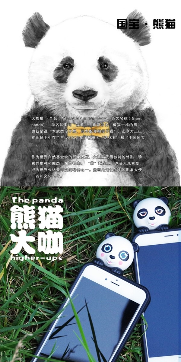 熊猫手机壳详情页模块