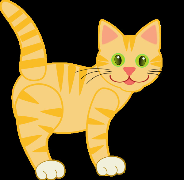 黄色虎纹猫