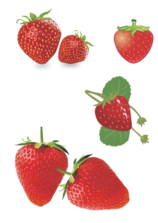 草莓手绘图片