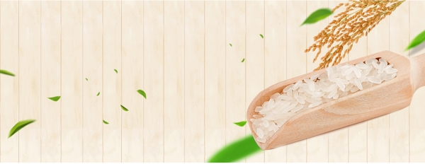 大米清淡五常大米粮食