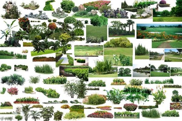 园林效果图超级素材图片