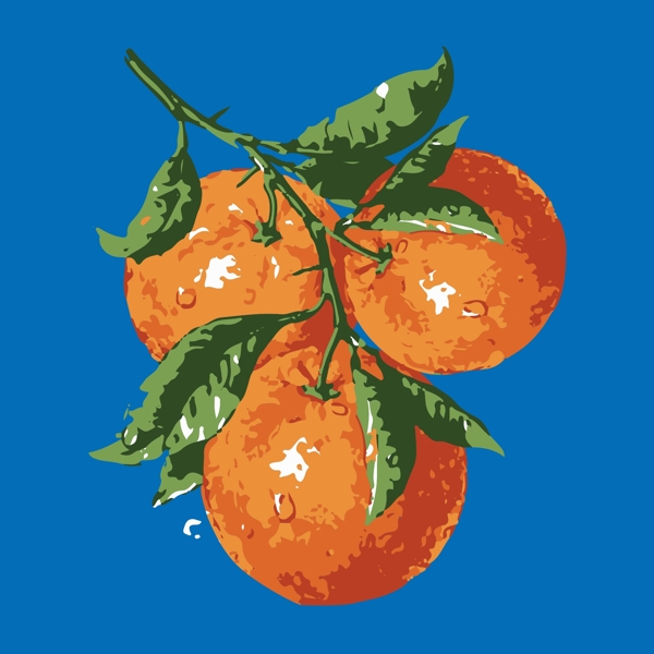 橙子矢量插画图片