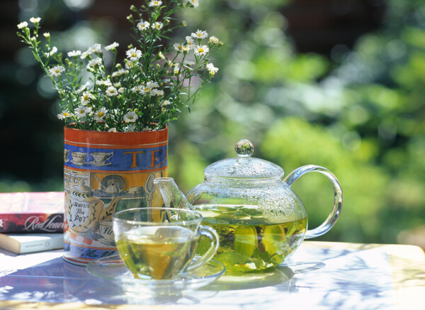 茶水茶杯野菊花图片