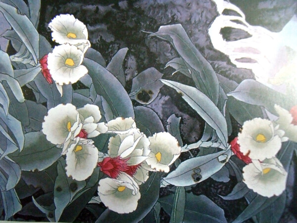 国画植物花卉图片