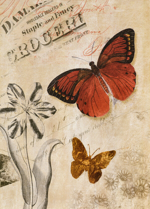 古典蝴蝶图片