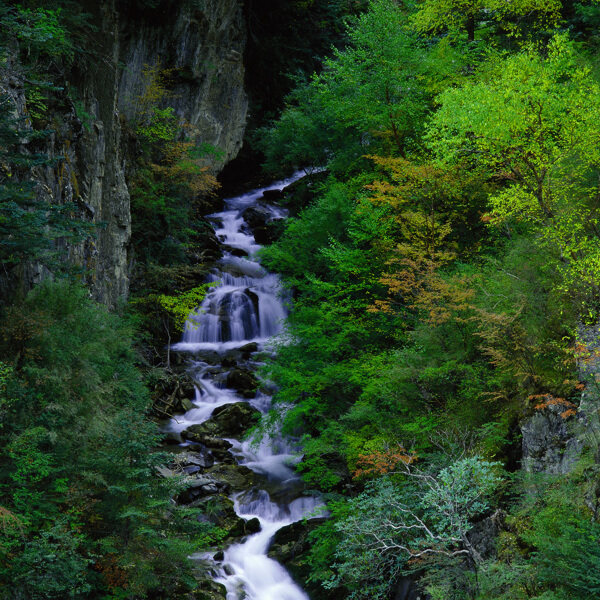 自然风景