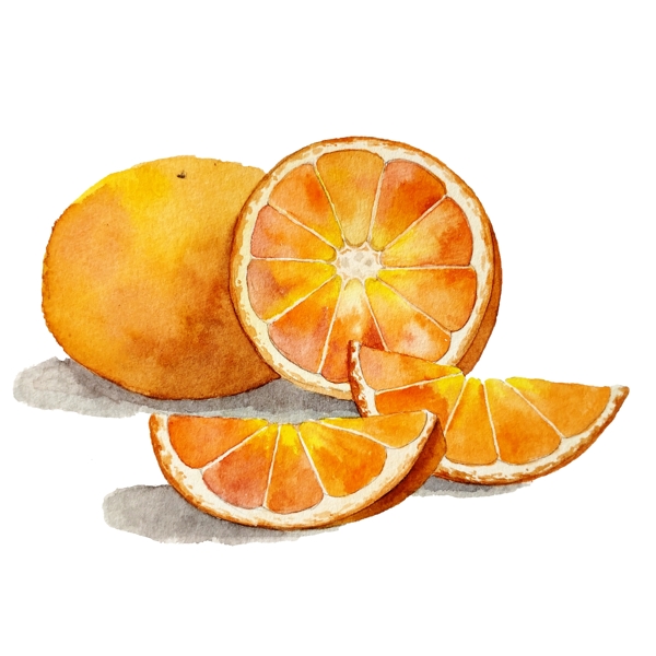 橙子橘子维生素C黄金鲜果美味多汁PNG
