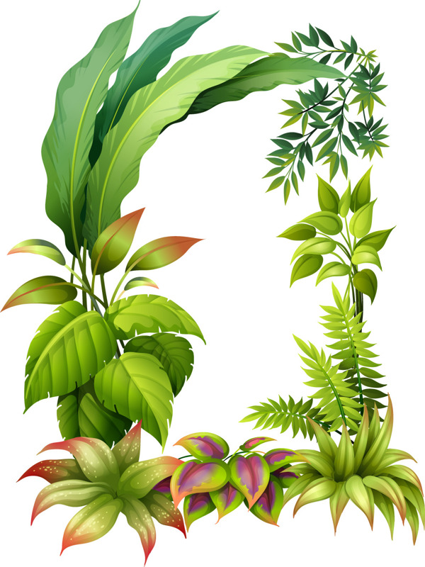 茂密的绿色植物素材