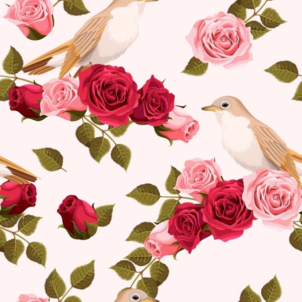 唯美玫瑰花和小鸟背景