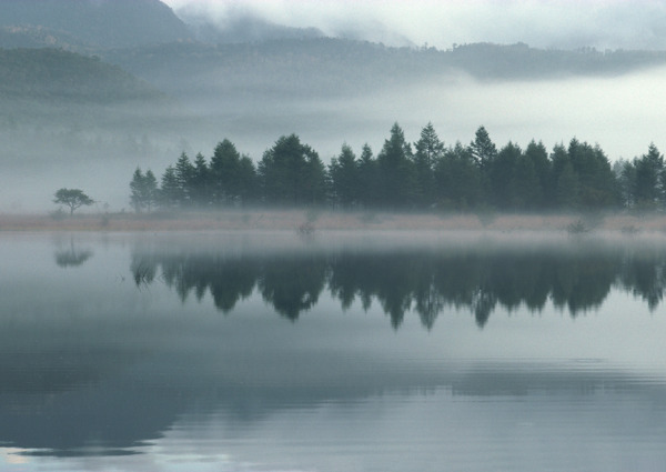 树林湖面山峦图片