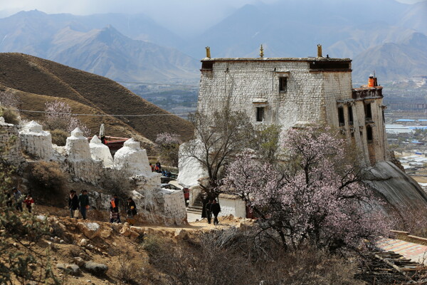 帕崩岗风景