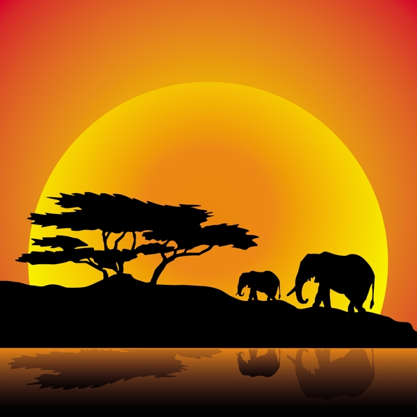 非洲大象剪影背景太阳