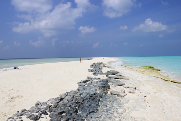 阳光海岸图片