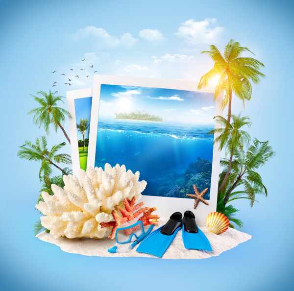 沙滩上的椰子树与海底照片图片