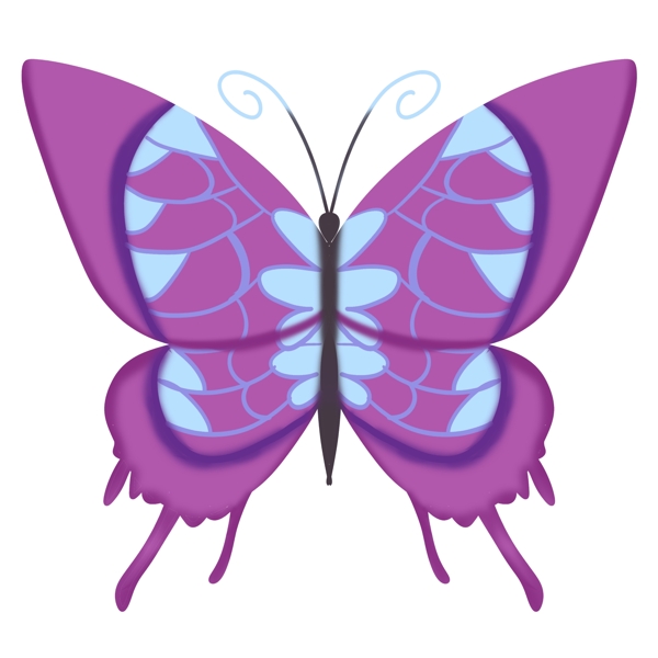 紫色蝴蝶卡通插画