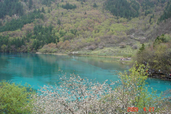 九寨沟孔雀海图片