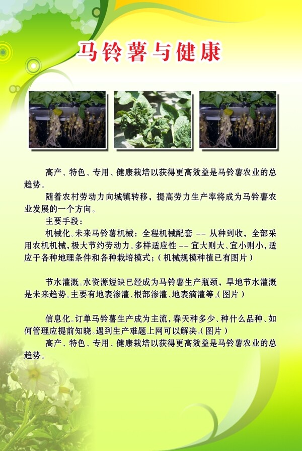 植物健康展板图片