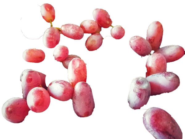 酸甜可口营养丰富的葡萄
