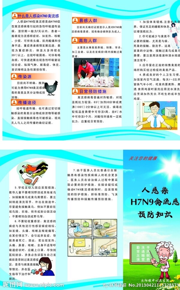 H7N9禽流感三折页图片