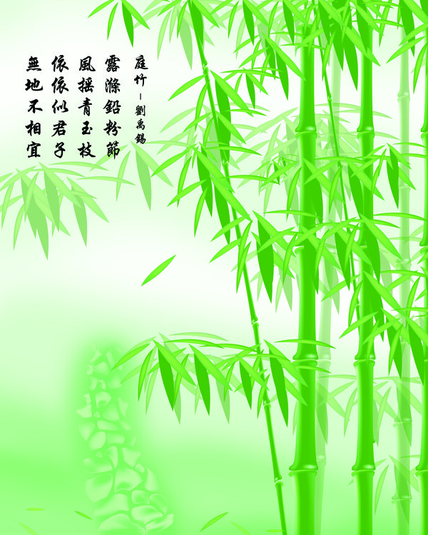 庭竹图片