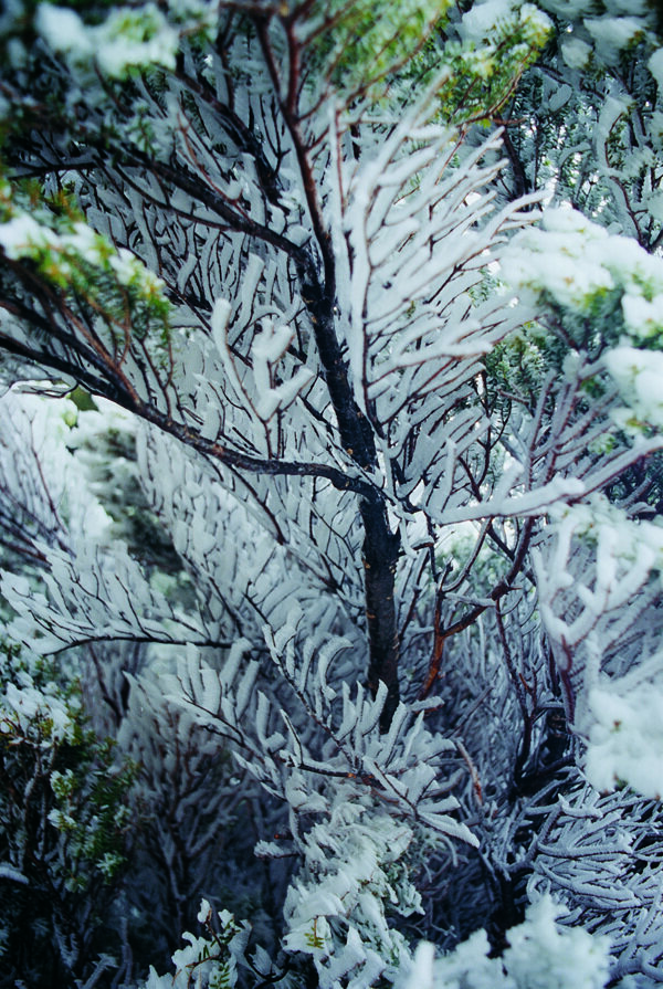 雪景雪地冰雪风景雪的图片