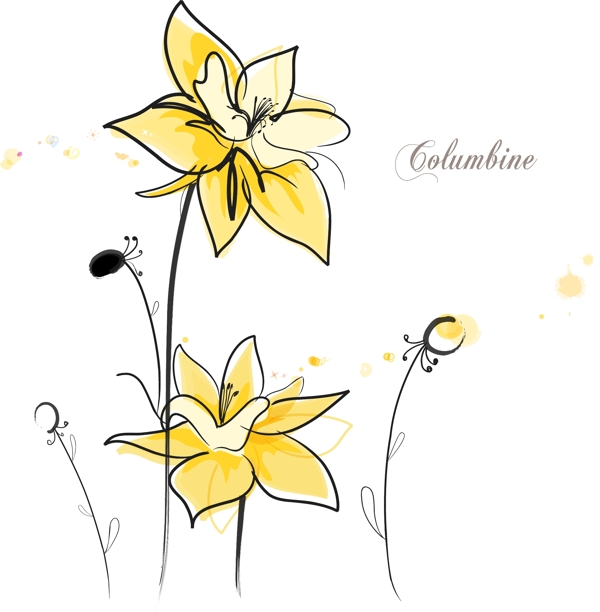 黄色花卉矢量图