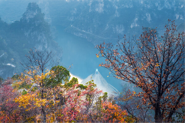 秋季山中树木和河流